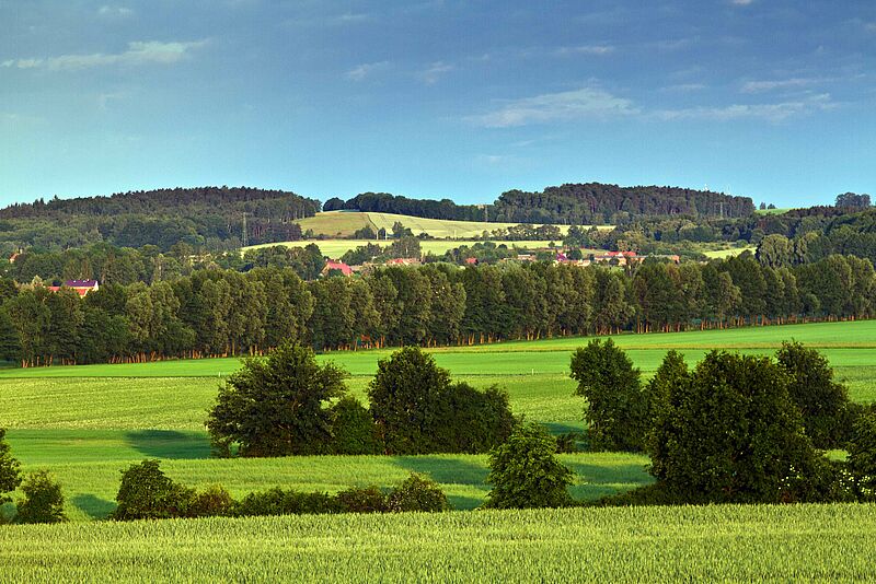 Landrücken Waltersdorf