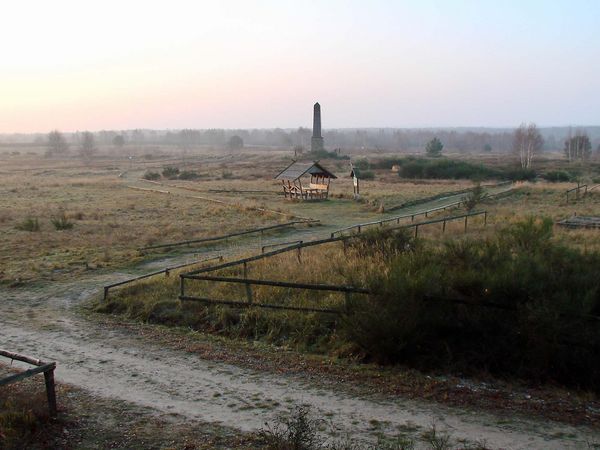 Die Aufnahme zeigt die Landschaft um den Obelisken in der Döberitzer Heide.